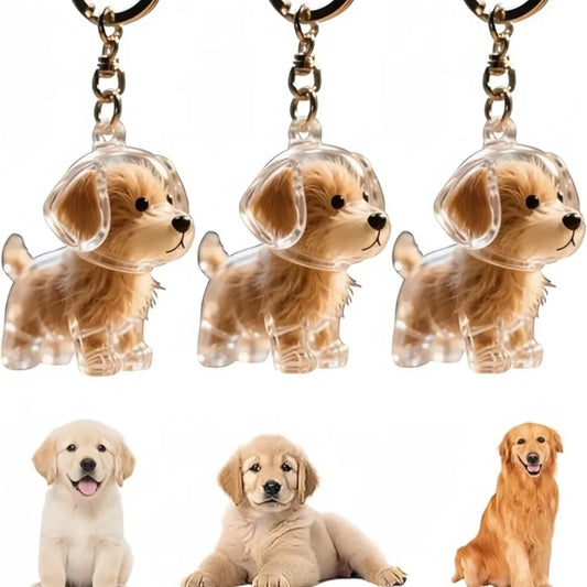 Pet Fur Storage Container Transparent Capsule Pendant with Keychain Suitable for Pet Enthusiasts To DIY Commemorative Keychain